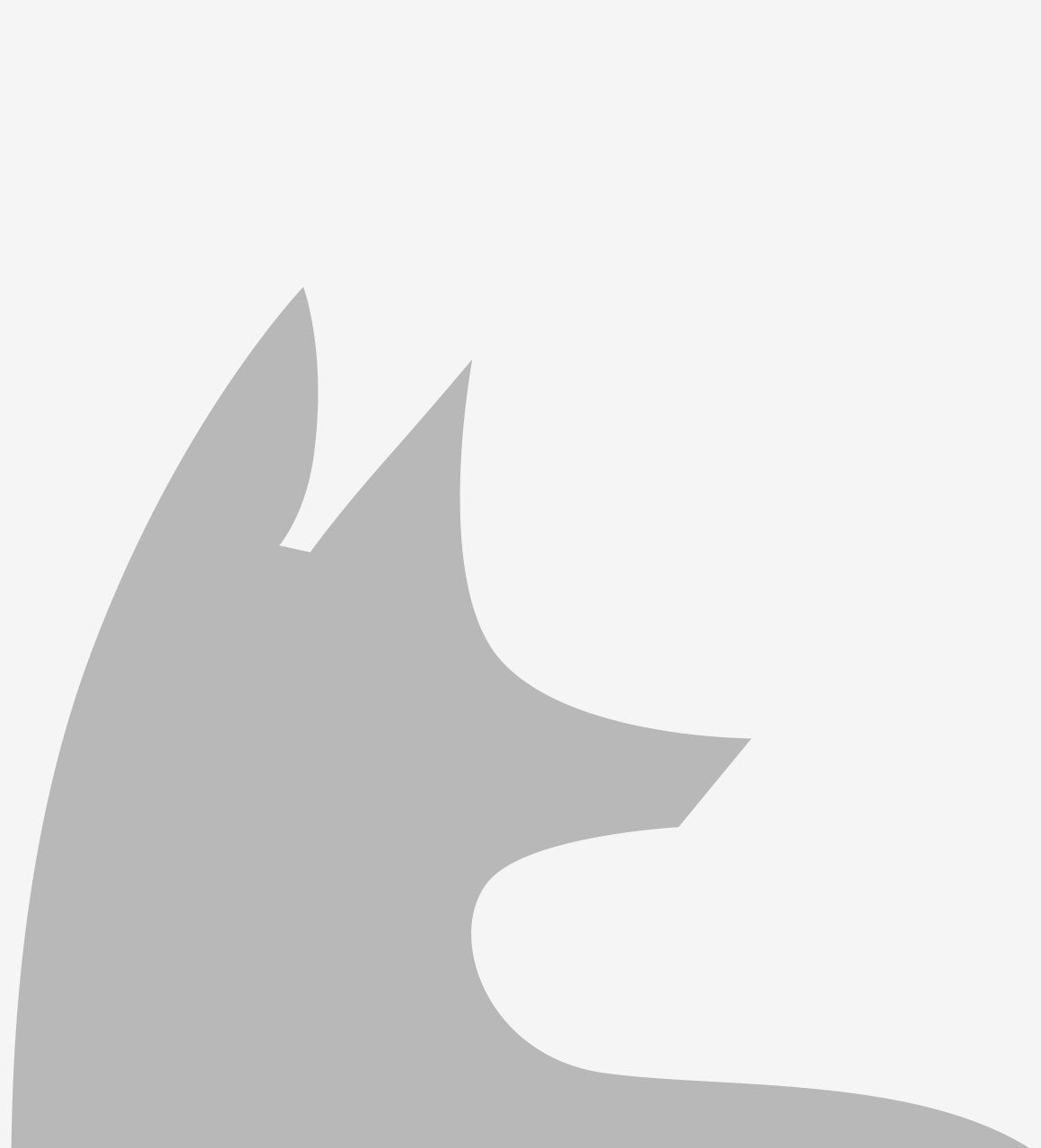 Grey Fox Headshot