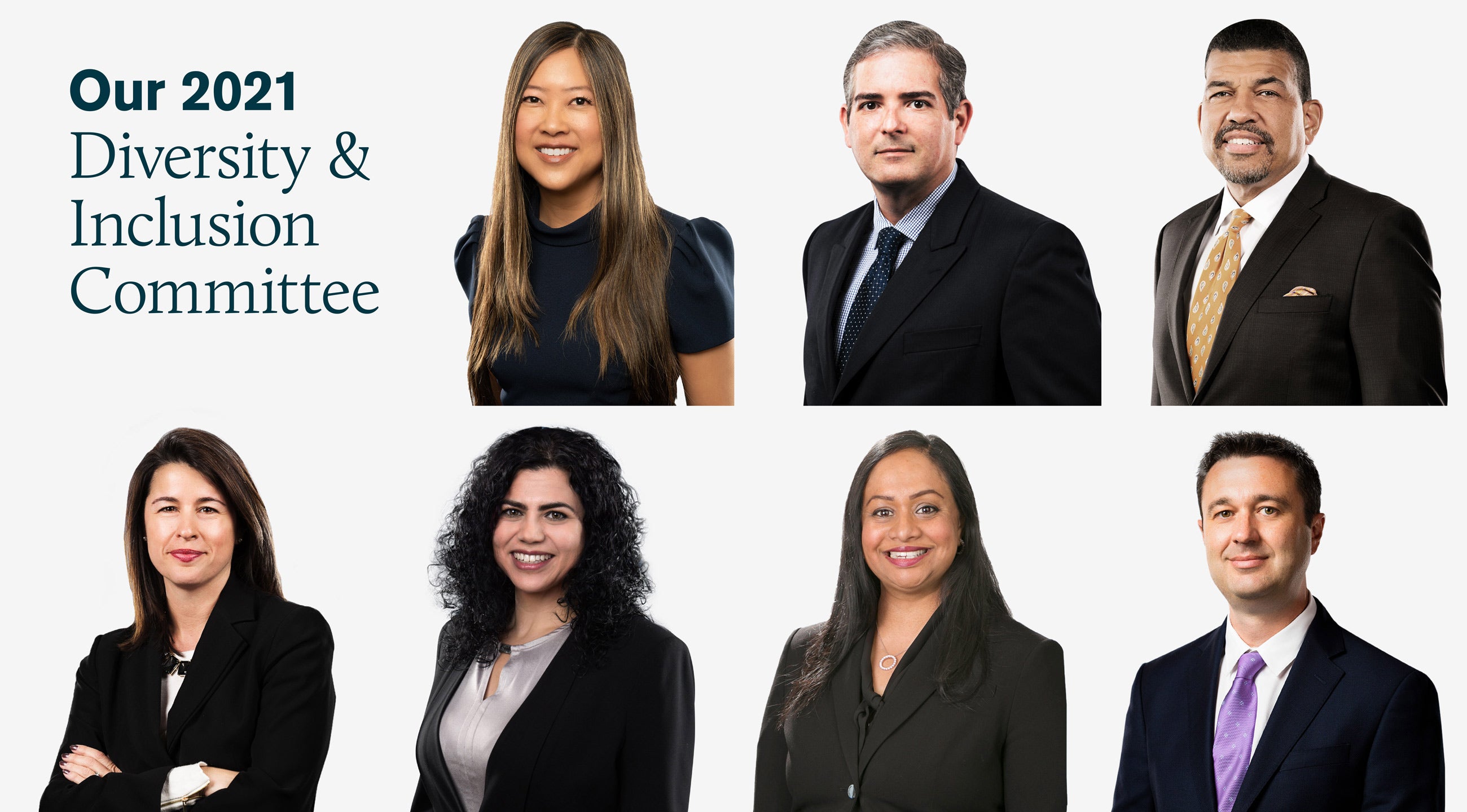 Light Background Vignette - 2021 Diversity Committee
