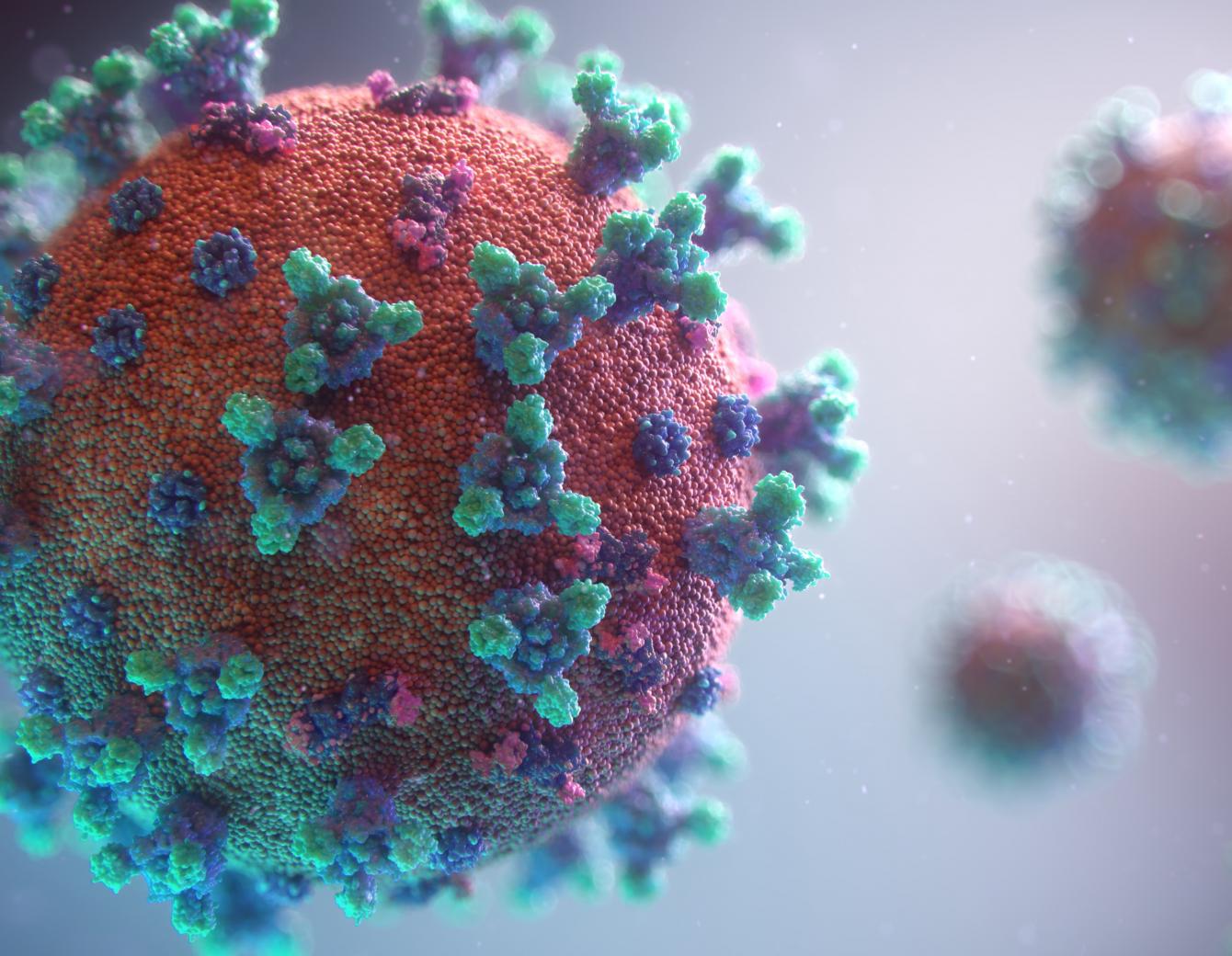 Coronavirus Task Force Image