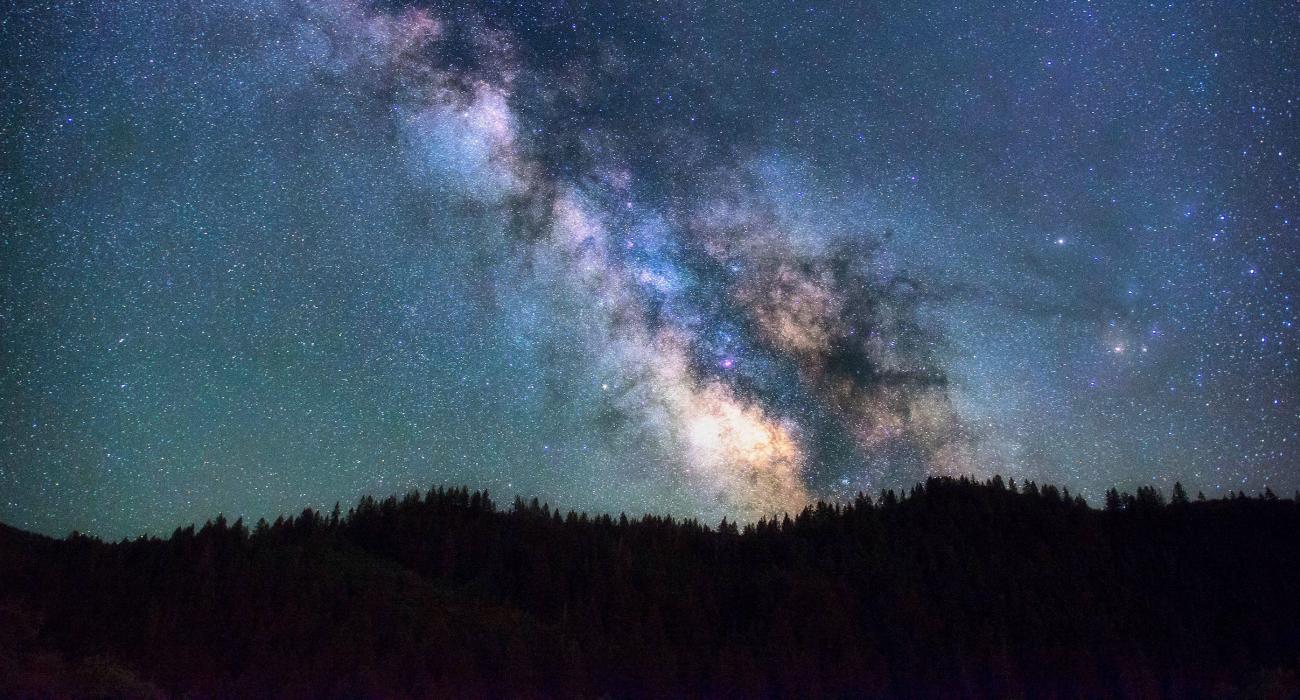 Starry nightime sky with silhouette of treetops