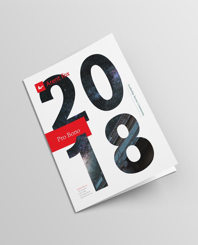 Cover of 2018 Pro Bono Report