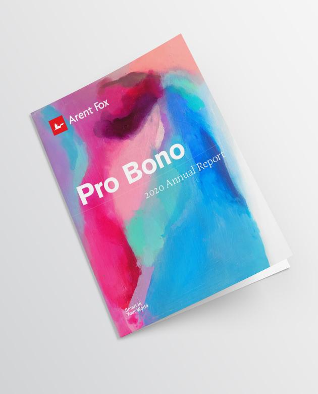 2020 Pro Bono Booklet Image