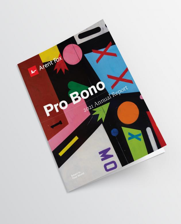 Pro Bono 2021 Cover Image